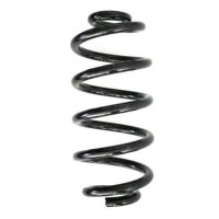 Fahrwerksfeder-Set hinten Schraubenfeder 298mm SPIDAN...