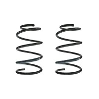 Fahrwerksfeder-Set vorne Schraubenfeder 305mm SPIDAN...