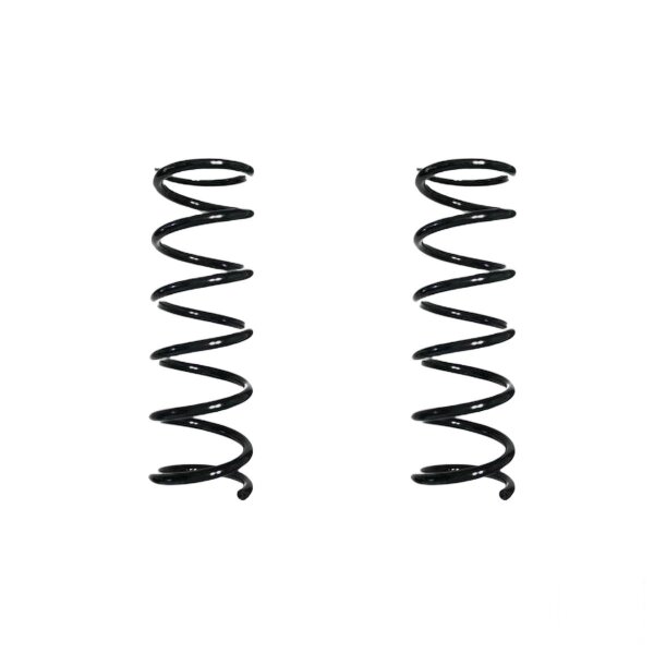 Suspension spring set Replacement Fit SPIDAN for LEXUS GS S19