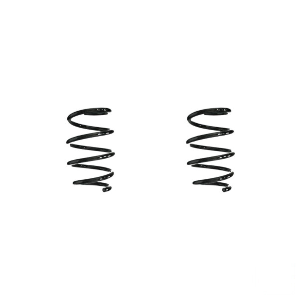 Suspension spring set Replacement Fit SPIDAN for RENAULT TWINGO II