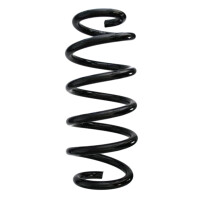 Fahrwerksfedern-Set hinten Schraubenfeder 304mm SPIDAN...