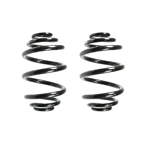 Suspension spring set rear coil spring 250mm SPIDAN for BMW 3 E46
