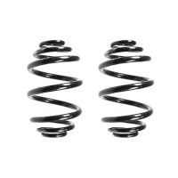 Fahrwerksfeder-Set hinten Schraubenfeder 250mm SPIDAN...