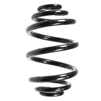 Fahrwerksfeder-Set hinten Schraubenfeder 250mm SPIDAN...