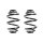 Suspension spring set rear coil spring 250mm SPIDAN for BMW 3 E46