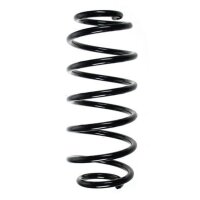 Fahrwerksfeder-Set hinten Schraubenfeder 316mm SPIDAN...