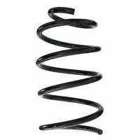 Fahrwerksfeder-Set vorne Schraubenfeder 274mm SPIDAN...