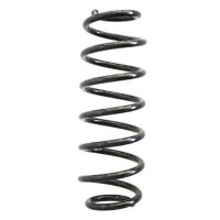 Fahrwerksfeder-Set hinten Schraubenfeder 291mm SPIDAN...