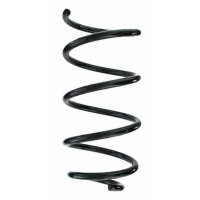 Fahrwerksfeder-Set vorne Schraubenfeder 317mm SPIDAN...
