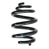 Fahrwerksfeder-Set hinten Schraubenfeder 250mm SPIDAN...