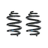 Fahrwerksfedern-Set hinten Schraubenfeder 250mm SPIDAN...