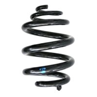 Fahrwerksfedern-Set hinten Schraubenfeder 250mm SPIDAN...