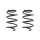 Suspension spring set front coil spring 248mm SPIDAN for AUDI TT 8J3