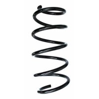 Fahrwerksfeder-Set vorne Schraubenfeder 318mm SPIDAN...