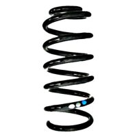 Fahrwerksfeder-Set hinten Schraubenfeder 236mm SPIDAN...
