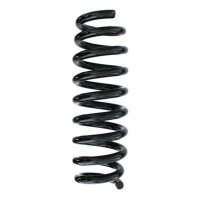 Fahrwerksfeder-Set hinten Schraubenfeder 306mm SPIDAN...
