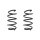 Suspension spring set front coil spring 291mm SPIDAN for VW PASSAT B7