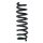 Fahrwerksfeder-Set hinten Schraubenfeder 319mm SPIDAN für BMW 1 (E81)