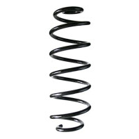 Fahrwerksfeder-Set hinten Schraubenfeder 325mm SPIDAN...