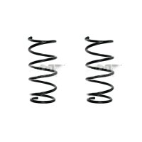 Fahrwerksfeder-Set vorne Schraubenfeder 306mm SPIDAN...