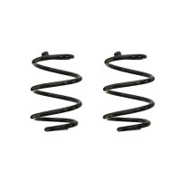 Fahrwerksfeder-Set hinten Schraubenfeder 206mm SPIDAN...