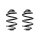Fahrwerksfeder-Set hinten Schraubenfeder 249mm SPIDAN für BMW Z4 Roadster