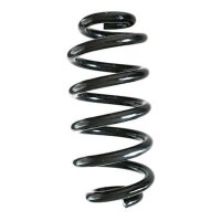 Fahrwerksfeder-Set hinten Schraubenfeder 305mm SPIDAN...