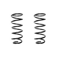 Suspension spring set rear coil spring 382mm SPIDAN for...