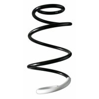 Fahrwerksfeder-Set vorne Schraubenfeder 327mm SPIDAN...