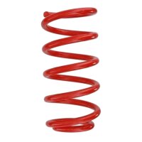 Suspension spring set rear coil spring 226mm SPIDAN for...