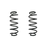 Suspension spring set rear coil spring 300mm SPIDAN for...