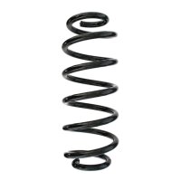 Suspension spring set rear coil spring 300mm SPIDAN for...