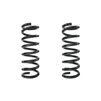 Fahrwerksfedern-Set hinten Schraubenfeder 370mm SPIDAN...