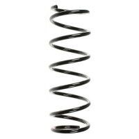 Fahrwerksfeder-Set vorne Schraubenfeder 299mm SPIDAN...