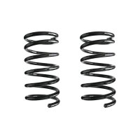 Fahrwerksfedern-Set hinten Schraubenfeder 286mm SPIDAN...