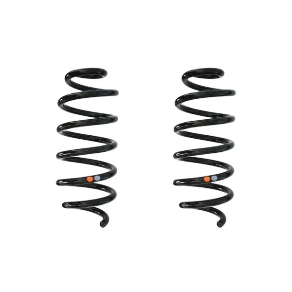 Suspension spring set rear coil spring 289mm SPIDAN for RENAULT CAPTUR I