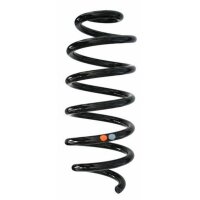Fahrwerksfeder-Set hinten Schraubenfeder 289mm SPIDAN...