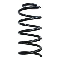 Fahrwerksfedern-Set hinten Schraubenfeder 262mm SPIDAN...
