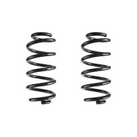 Fahrwerksfeder-Set hinten Schraubenfeder 254mm SPIDAN...