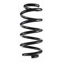 Fahrwerksfeder-Set hinten Schraubenfeder 254mm SPIDAN...