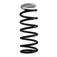 Fahrwerksfeder-Set hinten Schraubenfeder 290mm SPIDAN...