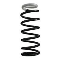 Suspension spring set rear coil spring 290mm SPIDAN for...