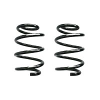 Fahrwerksfeder-Set vorne Schraubenfeder 298mm SPIDAN...