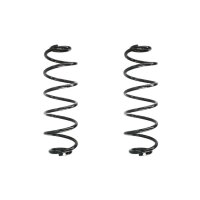 Fahrwerksfeder-Set hinten Schraubenfeder 376mm SPIDAN...