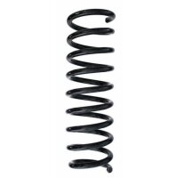 Fahrwerksfeder-Set hinten Schraubenfeder 313mm SPIDAN...