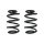 Fahrwerksfeder-Set vorne Schraubenfeder 273mm SPIDAN für RENAULT MASTER II