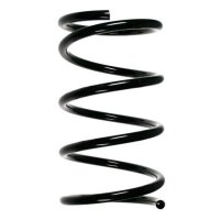 Fahrwerksfeder-Set vorne Schraubenfeder 308mm SPIDAN...