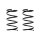 Fahrwerksfeder-Set vorne Schraubenfeder 308mm SPIDAN für HONDA CR-V II