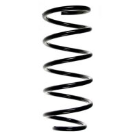 Fahrwerksfeder-Set hinten Schraubenfeder 295mm SPIDAN...
