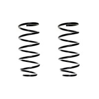 Suspension spring set rear coil spring 295mm SPIDAN for...